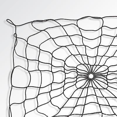 Spider Net (Bed Webb)
