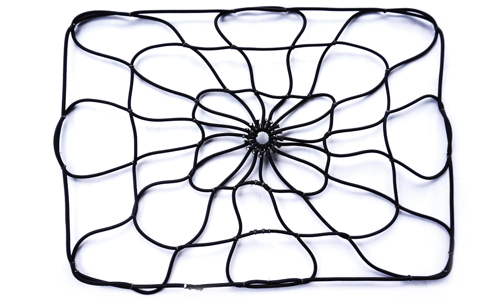 Spider Net (Bed Webb)